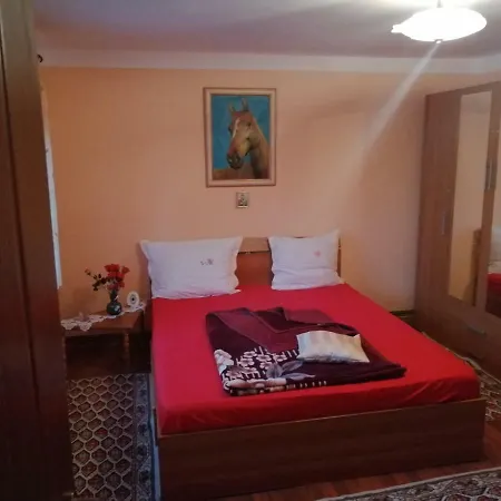 ホームステイ Casa De La Mare コンスタンツァ